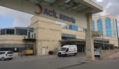 Siirt’te Talihsiz Kaza: Bahçesinde Budama Yaparken Canından Oldu