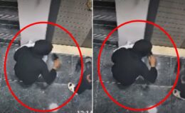 Siirt’te Akılalmaz Hırsızlık Girişimi: Ayakkabıyı Koklayıp Kapıyı Zorladı!