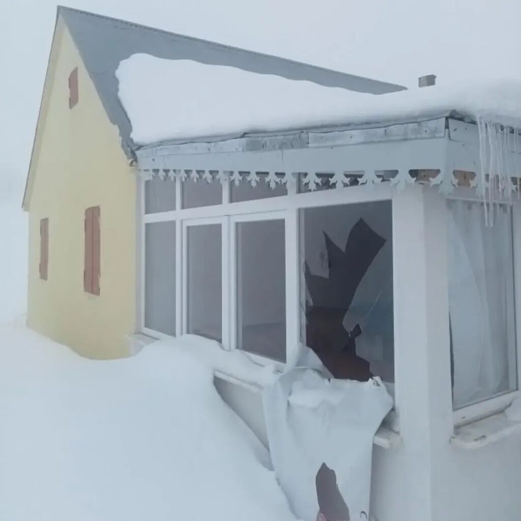 Sis Dağı ayı saldırısı