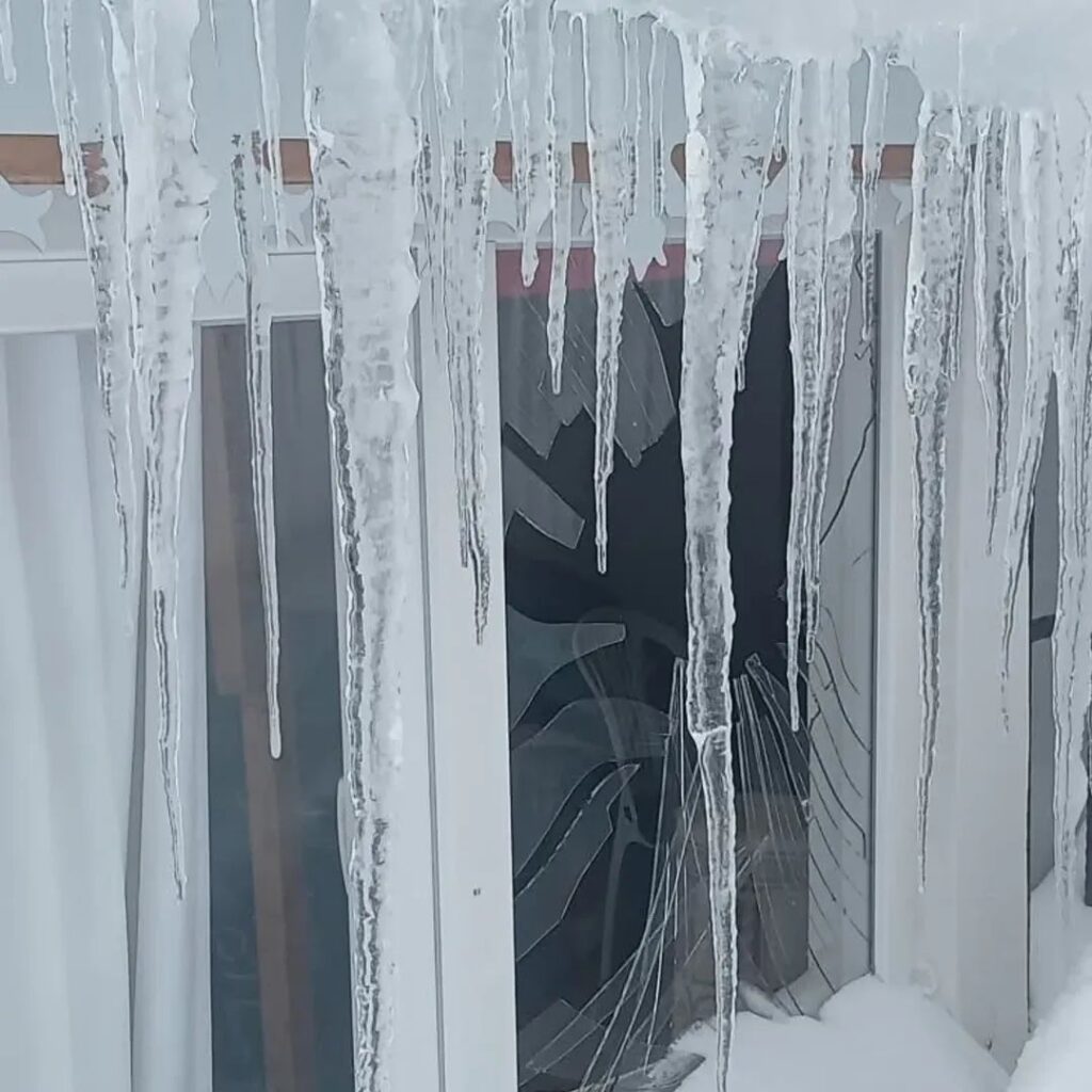 Sis Dağı ayı saldırısı