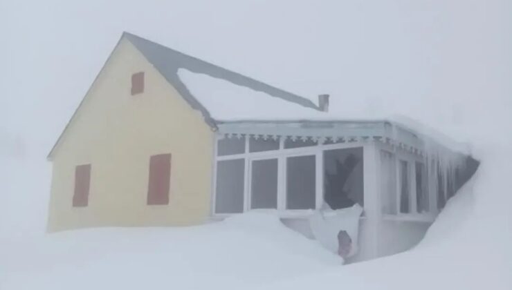 Sis Dağı’nda Korku Zirve Yaptı: Aç Kalan Ayılar Yayla Evlerini Kuşattı!