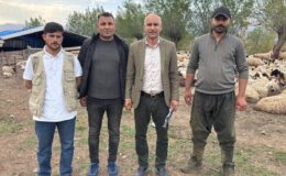 Hayvancılıkta Devrim Niteliğinde Adım: 150 Bin TL’lik Çoban Krizi Afgan İşçilerle Çözülüyor
