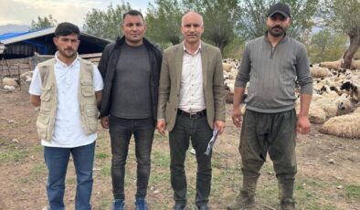 Hayvancılıkta Devrim Niteliğinde Adım: 150 Bin TL’lik Çoban Krizi Afgan İşçilerle Çözülüyor