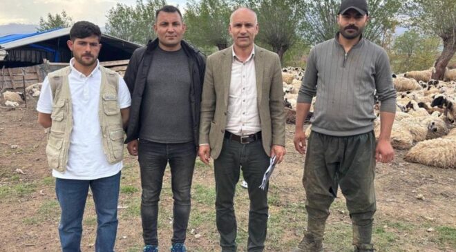 Hayvancılıkta Devrim Niteliğinde Adım: 150 Bin TL’lik Çoban Krizi Afgan İşçilerle Çözülüyor
