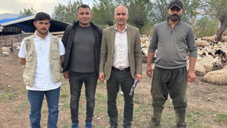 Hayvancılıkta Devrim Niteliğinde Adım: 150 Bin TL’lik Çoban Krizi Afgan İşçilerle Çözülüyor