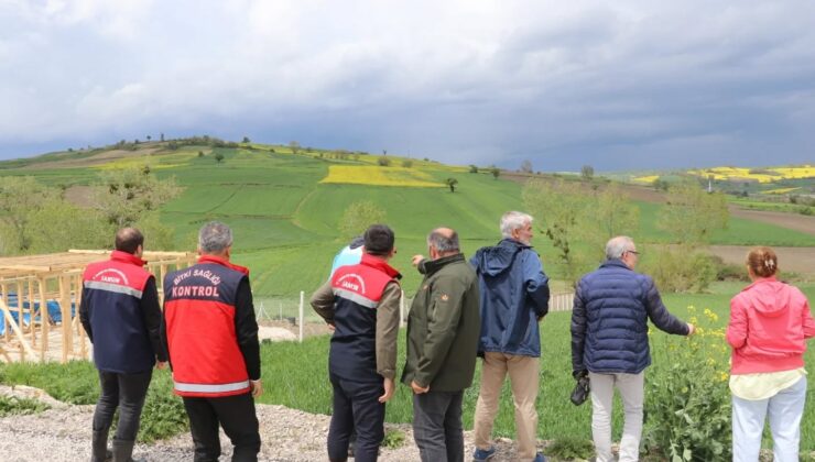 Havza’da Sel Alarmı: Tarım Arazileri ve Hayvancılık İşletmelerinde Hasar Tespiti Başlatıldı