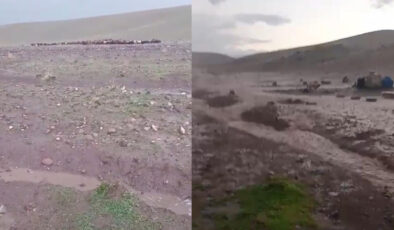 Iğdır’da Sel Dehşeti: Meradaki Hayvanlar İçin Seferberlik Başlatıldı