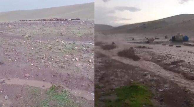 Iğdır’da Sel Dehşeti: Meradaki Hayvanlar İçin Seferberlik Başlatıldı