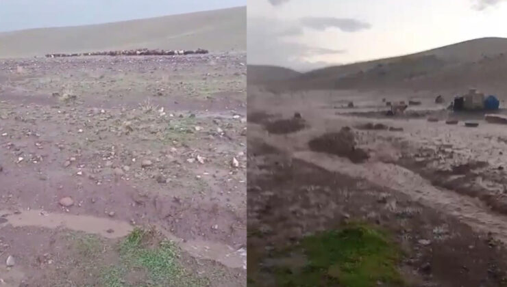 Iğdır’da Sel Dehşeti: Meradaki Hayvanlar İçin Seferberlik Başlatıldı