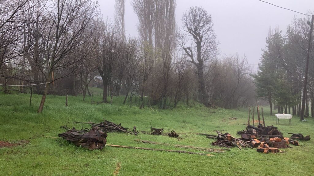Şebinkarahisar hava durumu