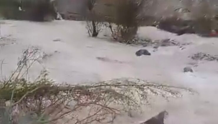 Şebinkarahisar’da Doğa Teslim Oldu: Dereköy’de Gece Yarısı Gelen Yıkımın İzleri