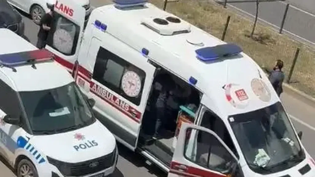 Silopi arazi kavgası