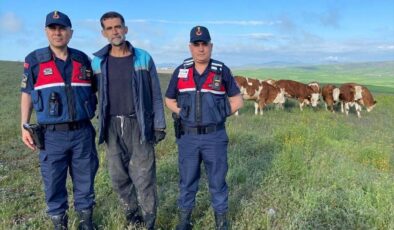 Sorgun’da Jandarmadan Teknolojik Takip: Kaybolan 7 Büyükbaş Hayvan Dronla Bulundu!