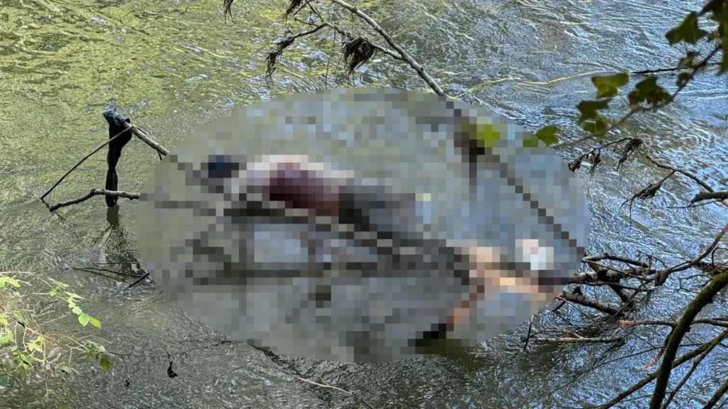 Tunca Nehri ceset bulunması