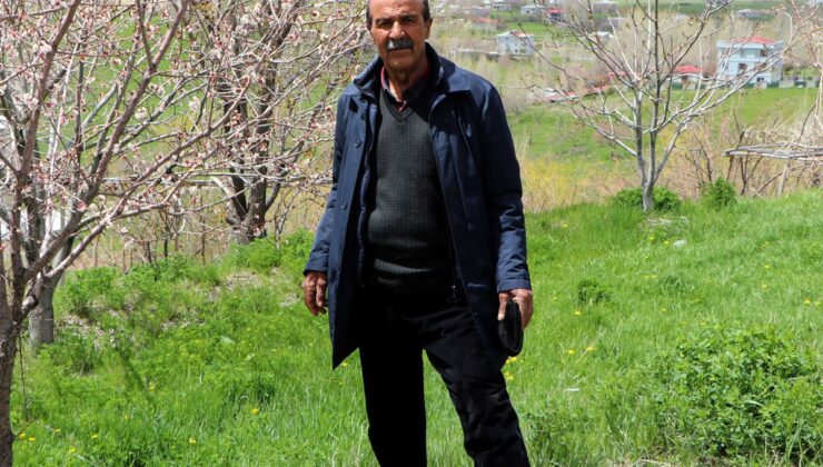 “Deli Misin” Diyenlere İnat Başardı: Vanlı Girişimciden 40 Dakikalık Yolu Bitiren İnanılmaz Çözüm