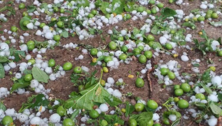 Tokat’ta Gökyüzü Delindi: Zile’de Sel ve Dolu Felaketinin Ardından Ağır Bilanço!