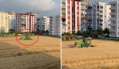 Milyon Dolarlık Teklifleri Elinin Tersiyle İtti: Gökdelenlerin Arasında Ezber Bozan Hasat