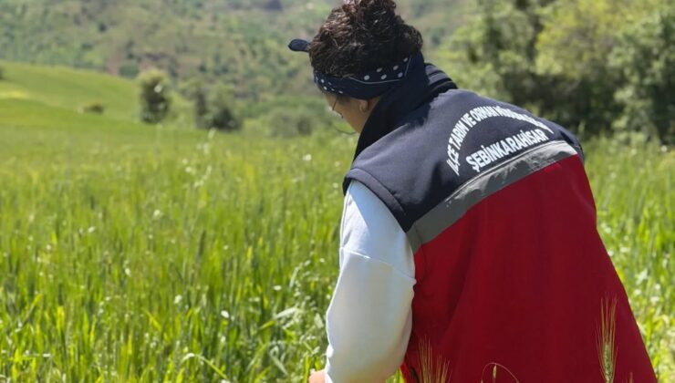 Şebinkarahisar’da Tarımsal Üretim Uydu Teknolojisiyle Yakından Takip Ediliyor