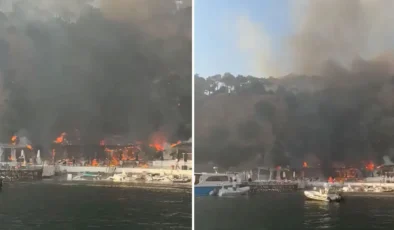 İstanbul’da Korku Dolu Dakikalar: Büyükada Plajındaki Alevler Ormanlık Alana Sıçradı!