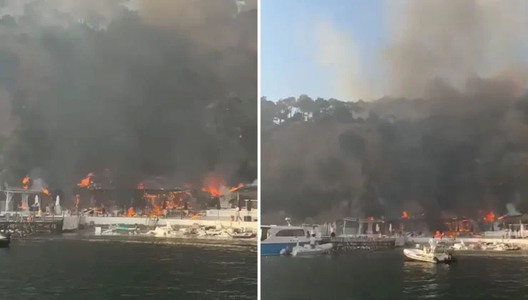 İstanbul’da Korku Dolu Dakikalar: Büyükada Plajındaki Alevler Ormanlık Alana Sıçradı!