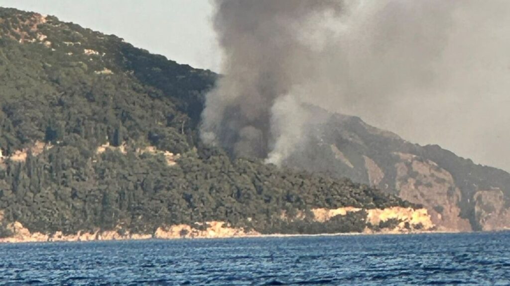 Büyükada Viranbağ Plajı Yangını