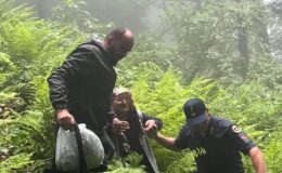 Giresun’da Korku Dolu Saatler: Ormanda Kaybolan Yaşlı Kadın İçin Seferberlik!