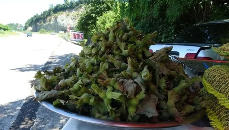 Karadeniz Sahil Yolunda Sezonun İlk Sevinci: Taze Fındık Tezgahlardaki Yerini Aldı