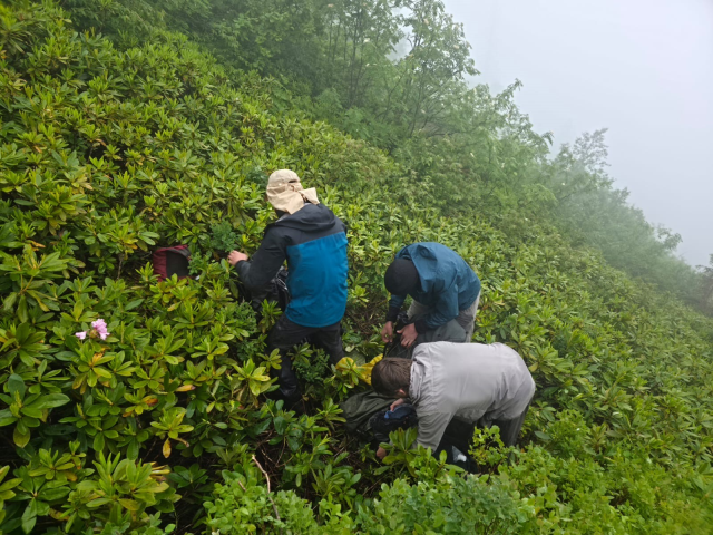 Rize Çamlıhemşin turist kurtarma operasyonu