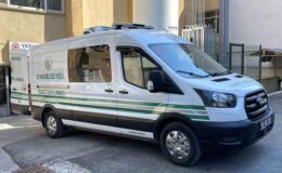 Havaların Isınmasıyla Gizli Tehlike Geri Döndü: Bir Acı Haber Daha Geldi!