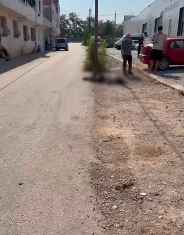 Bursa Yıldırım çifte cinayet