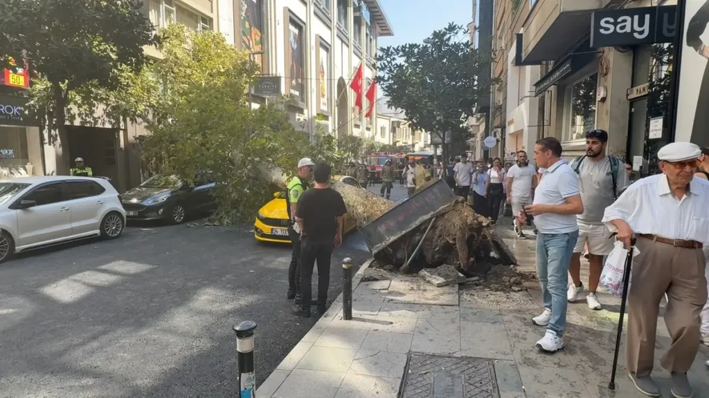 Nişantaşı ağaç devrilmesi