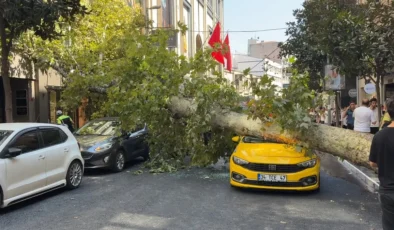 Nişantaşı’nda Gövdesi Çatlayan Dev Çınar Yola Devrildi: Teşvikiye Caddesi Savaş Alanına Döndü!