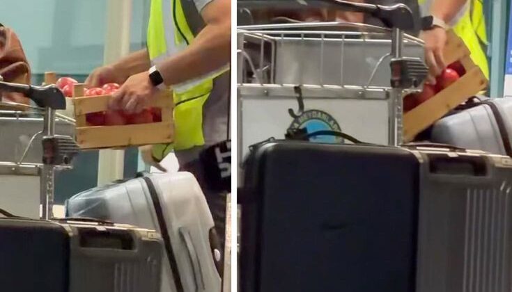Sırp Yıldızın Yanında Getirdiği İki Kasa Domatesin Sırrı Çözüldü